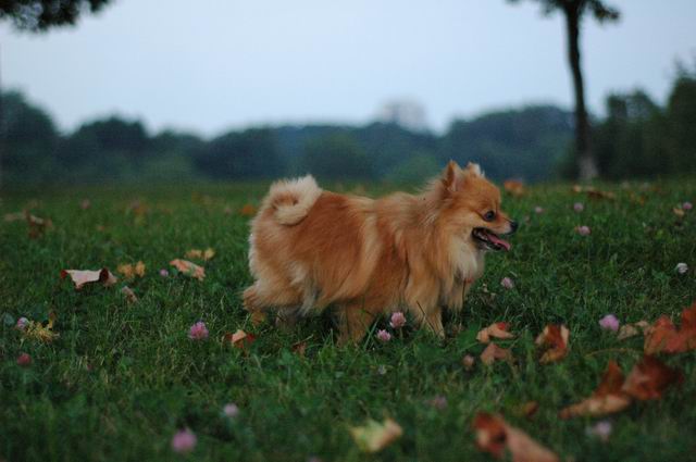 Sept3b_04_046.JPG