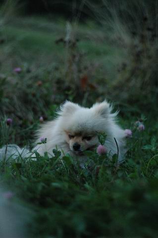 Sept3b_04_081.JPG