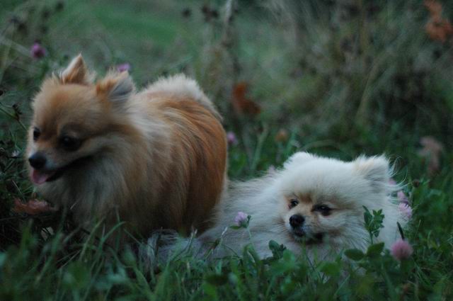 Sept3b_04_090.JPG