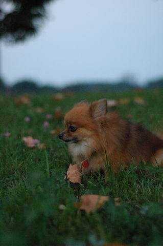 Sept3b_04_099.JPG