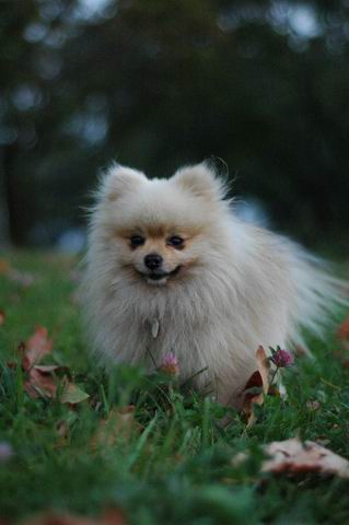 Sept3c_04_026.JPG