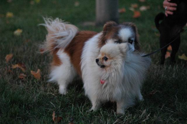 Sept3c_04_102.JPG