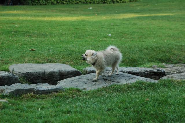 Sept4e_04_296.JPG