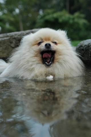 Sept4f_04_244.JPG