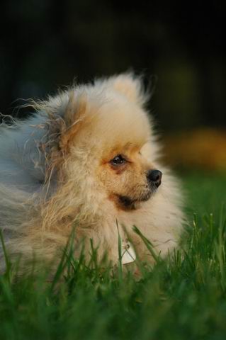 Sept4g_04_085.JPG