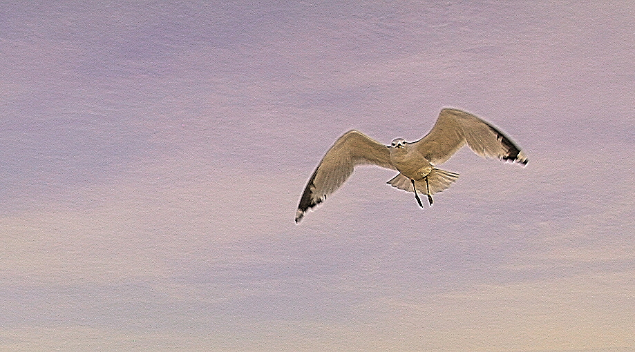159-5991_IMG.JPG