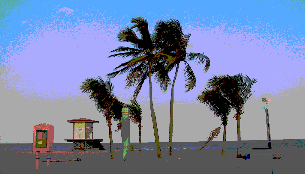 160-6051_IMG.JPG