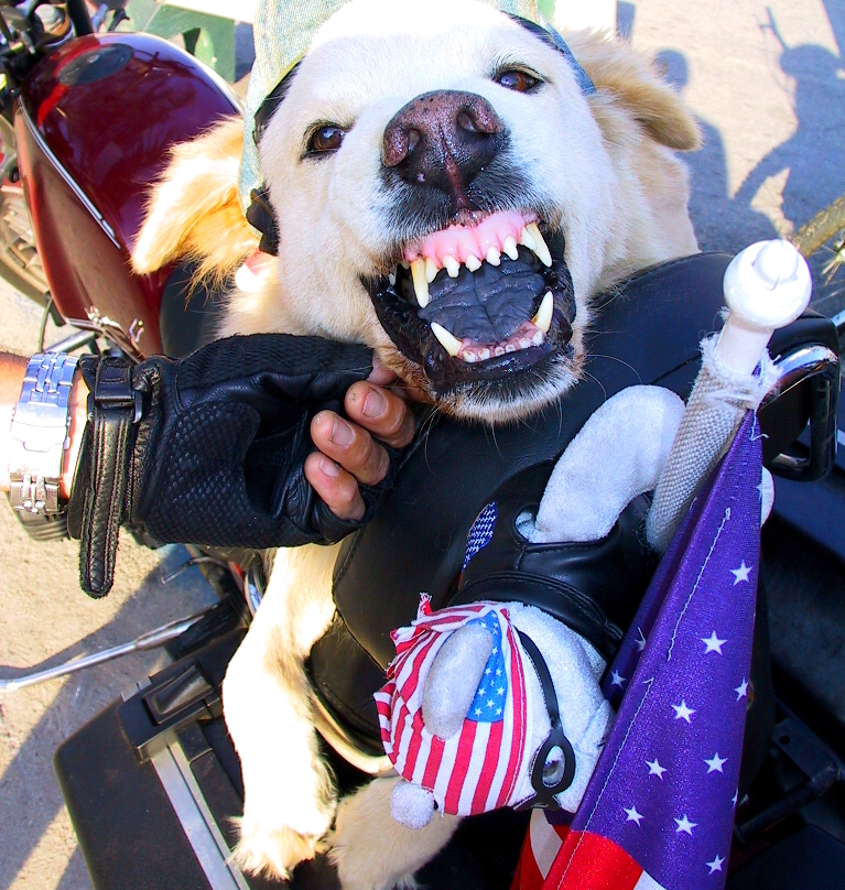 160-6075_IMG.JPG