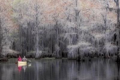 Caddo Lake - Canoe on Lake