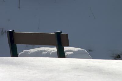 Snow Bench.jpg