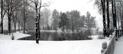 wWinter Scene4.jpg