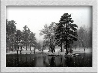 wWinter Scene3.jpg