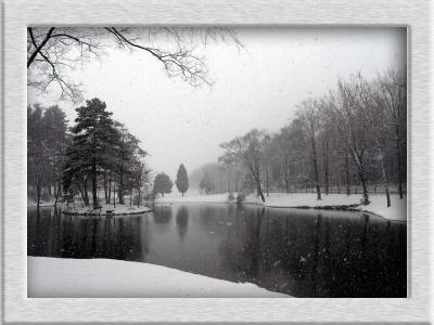 wWinter Scene5.jpg