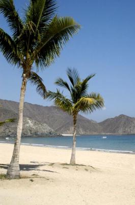 u42/bmcmorrow/medium/27674052.fujairah036.jpg