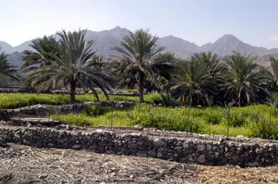 Wadi Hayl