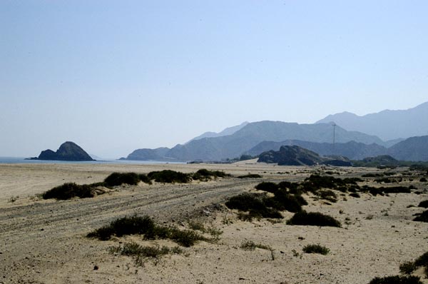 Looking south from Al Aqah. Snoopy Island, in Arabic Jazirat Al Ghubbah, (left) has great snorkelling.