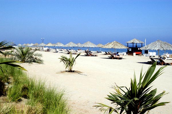 Beach at Al Aqah Resort