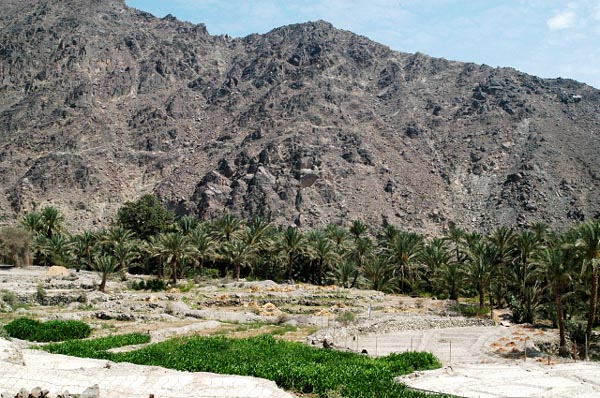 Wadi is Arabic for valley
