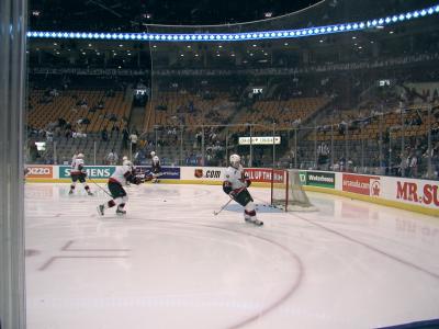 Ottawa Senators warm up