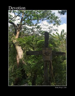 u42/bobbyw/medium/39660363.DevotionCRW_8587e11x14web.jpg
