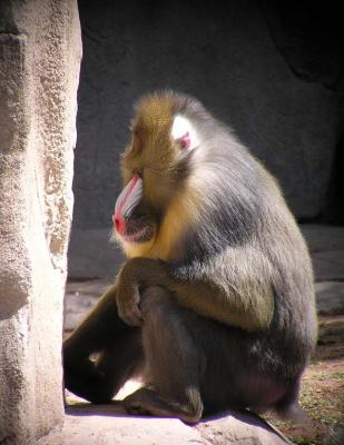b4060051.jpg