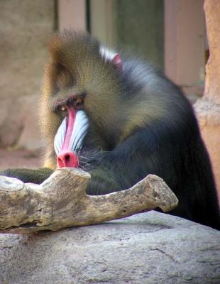 b4060019b.jpg