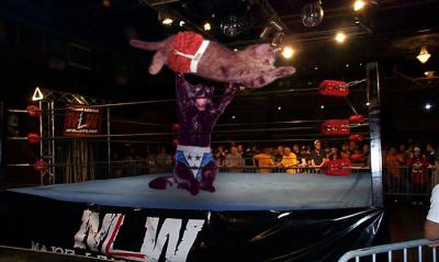 20040321wrestlekitty.jpg