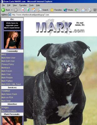20040401harelipmarkmedium.jpg