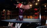 20040321wrestlekitty.jpg