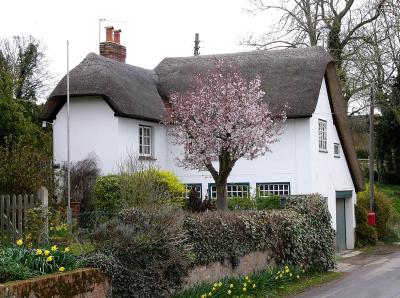 234 Thatched cottage.jpg
