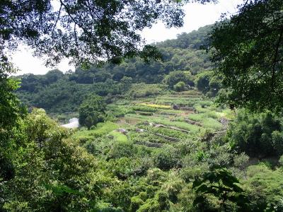 Yan Ming mountain garden