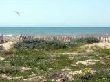 Dunes of Ventura State Beach