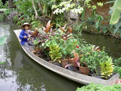 Pict5346.jpg