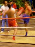 Rose Garden Muay Thai