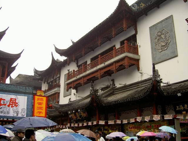PICT5985.JPG