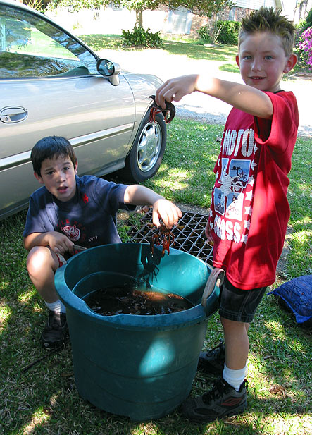 The boys couldnt keep thier hands out of the Crawfish!