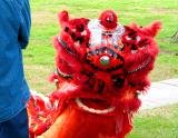 Chinese Dragon