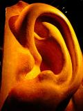 Big ear