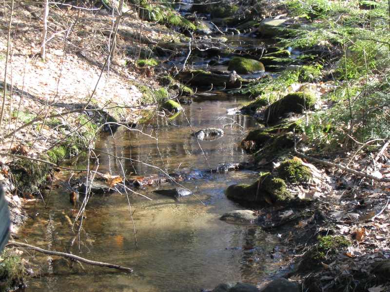 Mountain stream