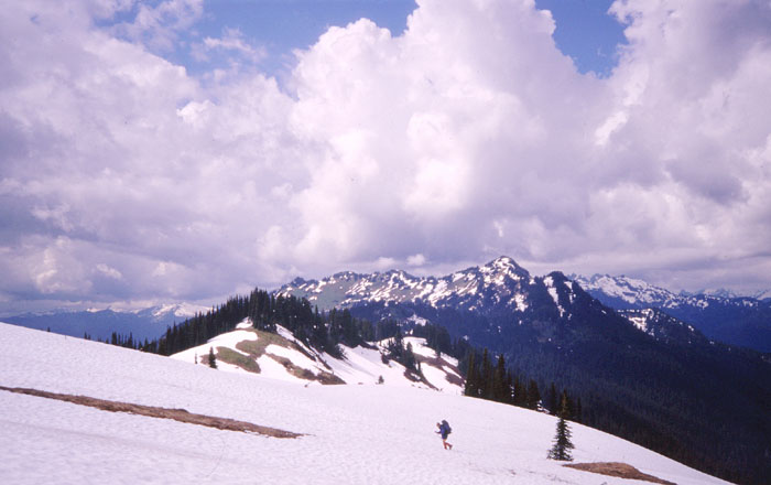 Washington