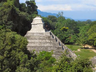 Mayan Temple - Palenque.JPG