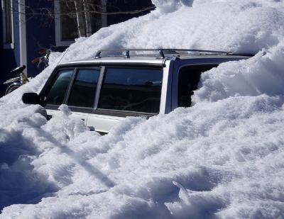 u42/bruce_j/medium/40661714.WaitingforSpring1.jpg