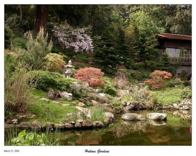 March 21 - Spring time at Hakone Gardens