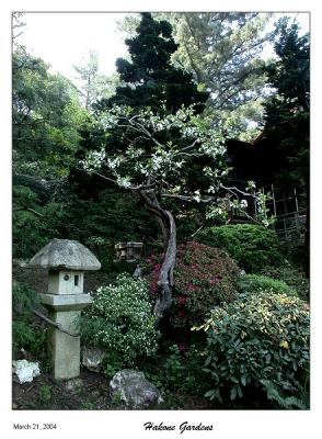 Hakone Gardens