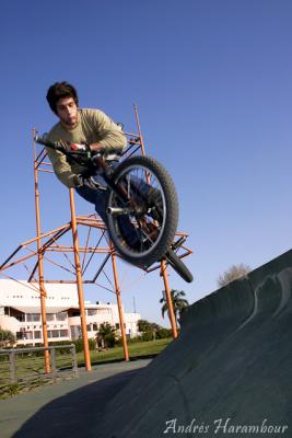 Diego - Barspin