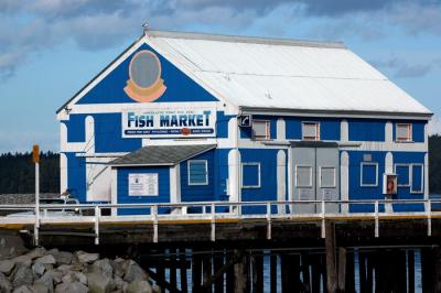Satellite Fish Company