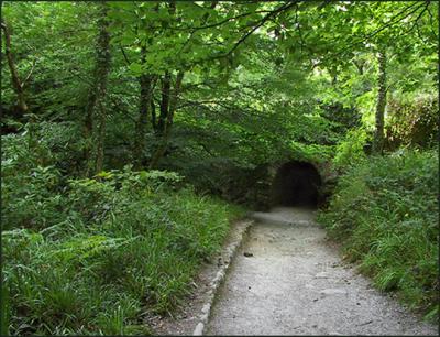 Tunnel leading away from Torc Falls