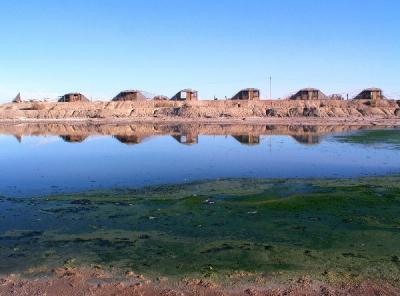 Salton Sea - Dead Man's Paradise