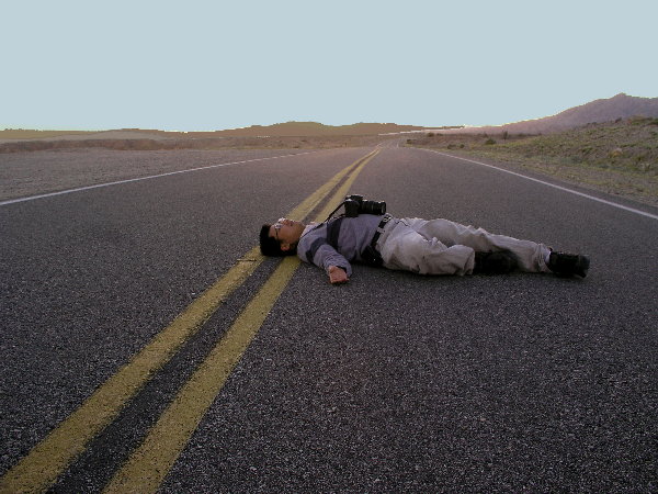 Photographic Road Kill