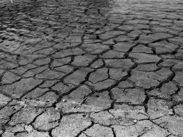 Lake Bed - 5